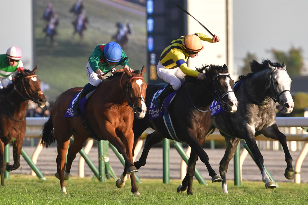 ジャパンC】世界一と激烈叩き合い！マスカレードボール「いい試合が